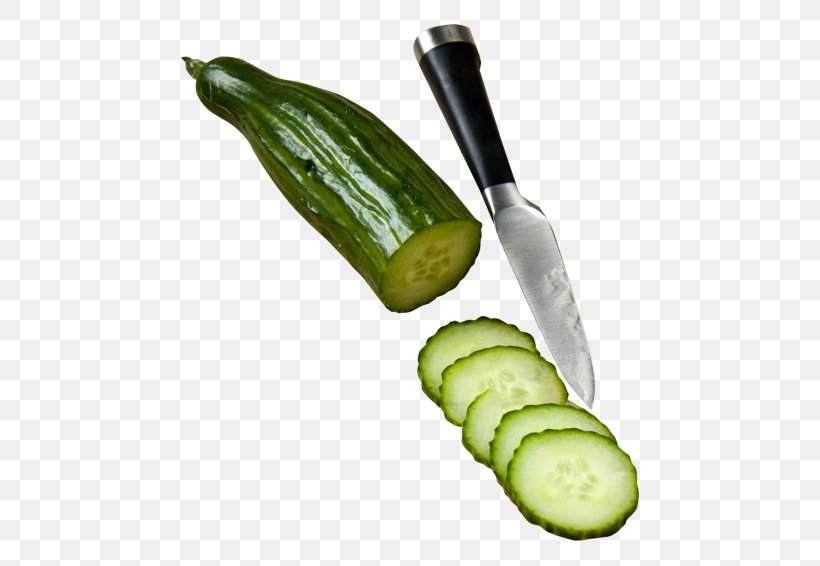 Pickled Cucumber Food Pickling Hamburger Vegetable, PNG, 500x566px, Pickled Cucumber, Cooking, Cucumber, Cucumber Gourd And Melon Family, Cucumis Download Free