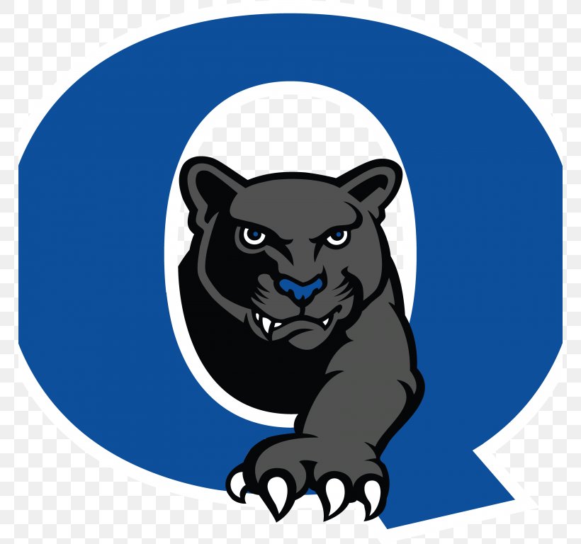 Quakertown Community Senior High School Quakertown Community School District National Secondary School Student, PNG, 768x768px, National Secondary School, Bear, Big Cats, Black, Black Panther Download Free