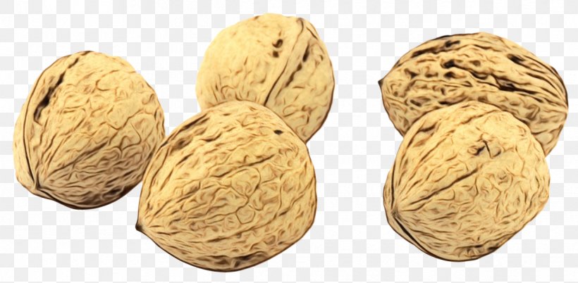 Walnut Superfood Bean, PNG, 1219x598px, Watercolor, Almond, Bad Mood, Bean, Drink Download Free