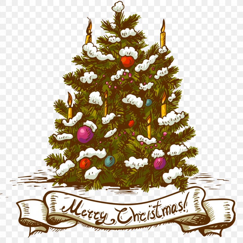 Christmas Tree Christmas Ornament, PNG, 1181x1181px, Christmas, Christmas Card, Christmas Decoration, Christmas Ornament, Christmas Tree Download Free