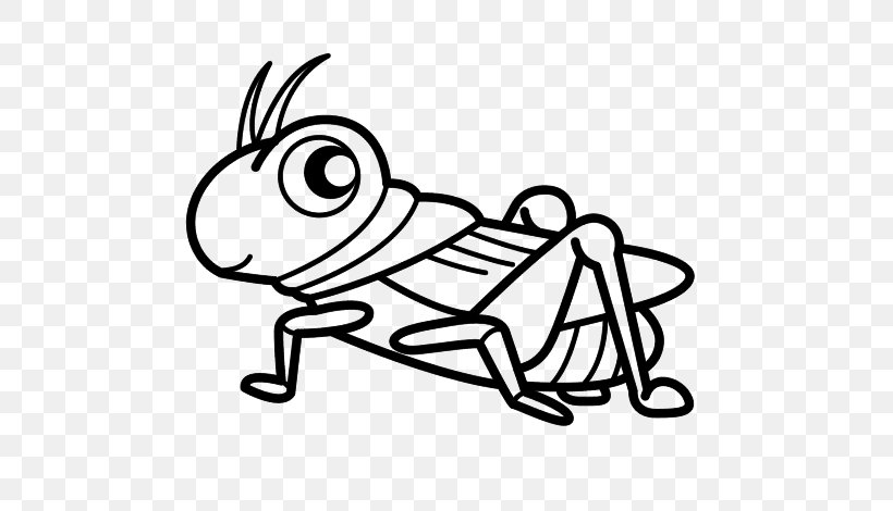 Grasshopper Cricket Drawing Coloring Book Insect, PNG, 600x470px, Watercolor, Cartoon, Flower, Frame, Heart Download Free