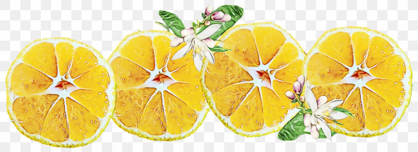Vegetarian Cuisine Vegetable Yellow Fruit Flower, PNG, 2560x934px, Watercolor, Flower, Fruit, La Quinta Inn Suites, Paint Download Free