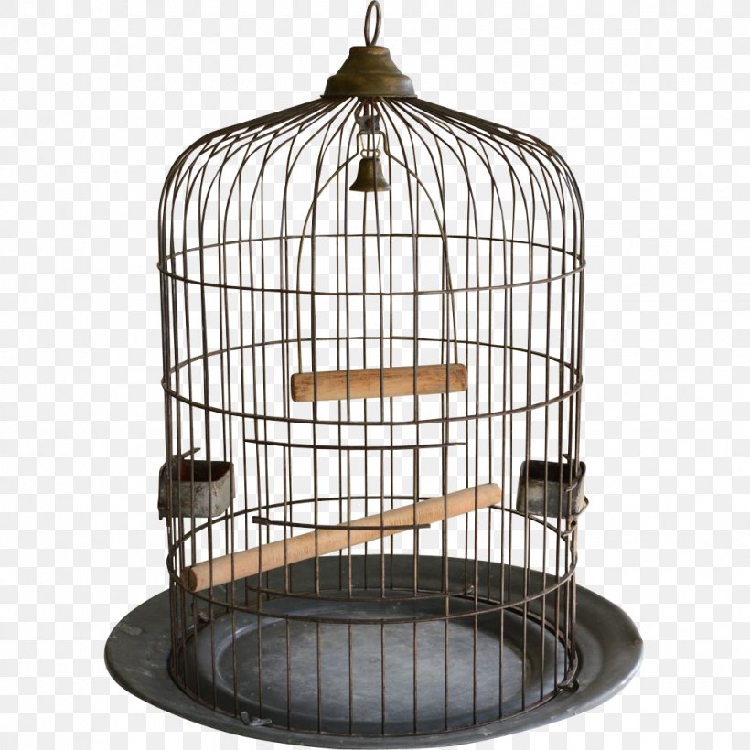 Birdcage Cockatiel Domestic Canary, PNG, 1022x1022px, Bird, Antique, Bird Of Prey, Birdcage, Cage Download Free