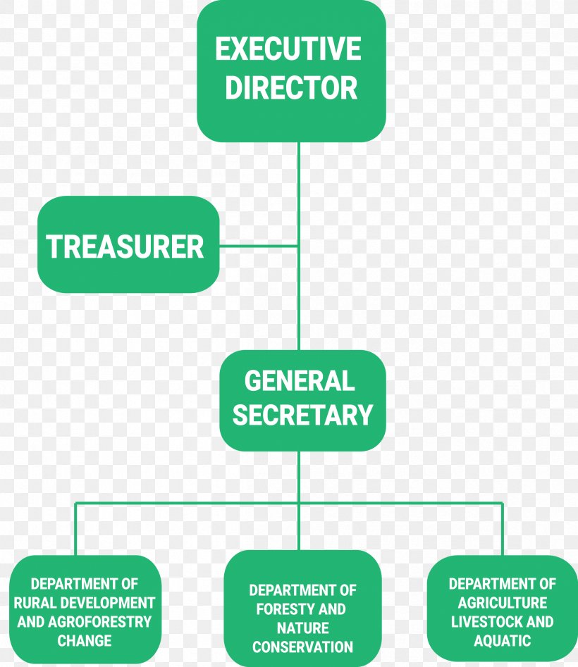 Organizational Chart Non-Governmental Organisation Management Non-profit Organisation, PNG, 2403x2777px, Organization, Agroforestry, Area, Brand, Communication Download Free