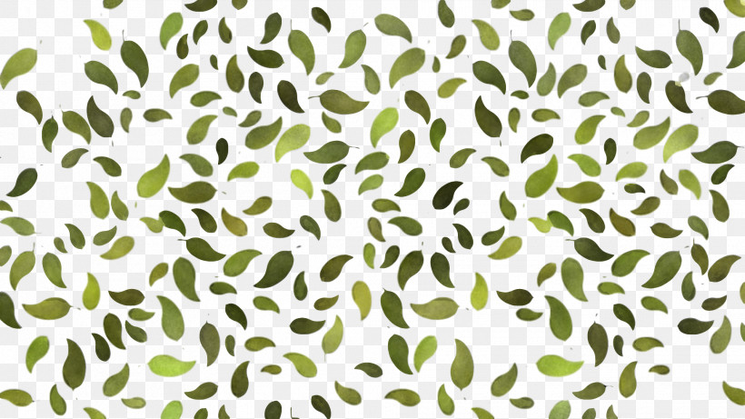 Pattern Leaf Hue Green Plant Stem, PNG, 1920x1080px, Leaf, Background Information, Color, Green, Hue Download Free