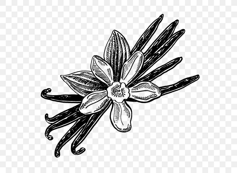 Flower Body Jewellery White, PNG, 600x600px, Flower, Black And White, Body Jewellery, Body Jewelry, Fashion Accessory Download Free