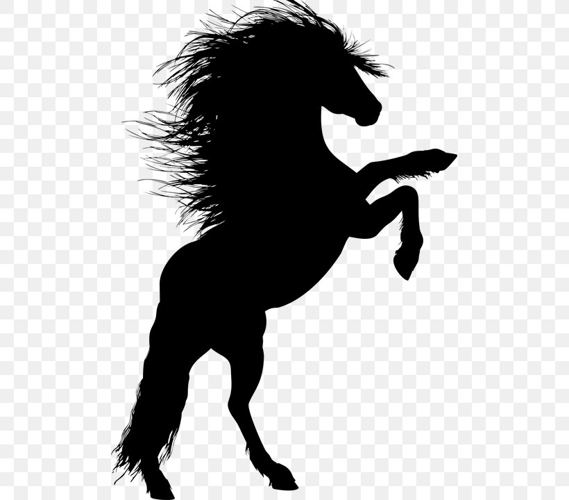 Horse Unicorn Legendary Creature Silhouette, PNG, 499x720px, Horse, Black, Black And White, Carnivoran, Dog Like Mammal Download Free