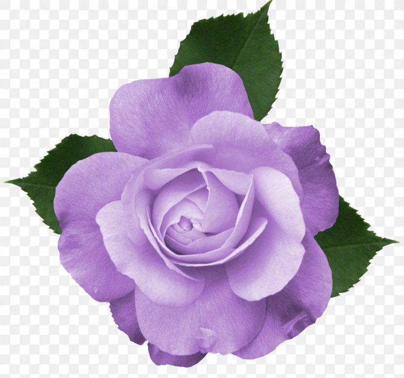 Rose Purple Clip Art, PNG, 1141x1070px, Rose, Cut Flowers, Floral Design, Floribunda, Flower Download Free