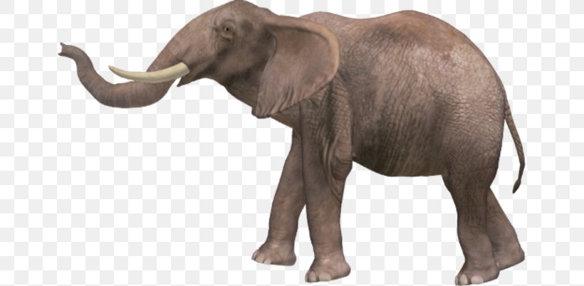 African Elephant Elephantidae Asian Elephant, PNG, 657x402px, African Elephant, Asian Elephant, Display Resolution, Elephant, Elephantidae Download Free