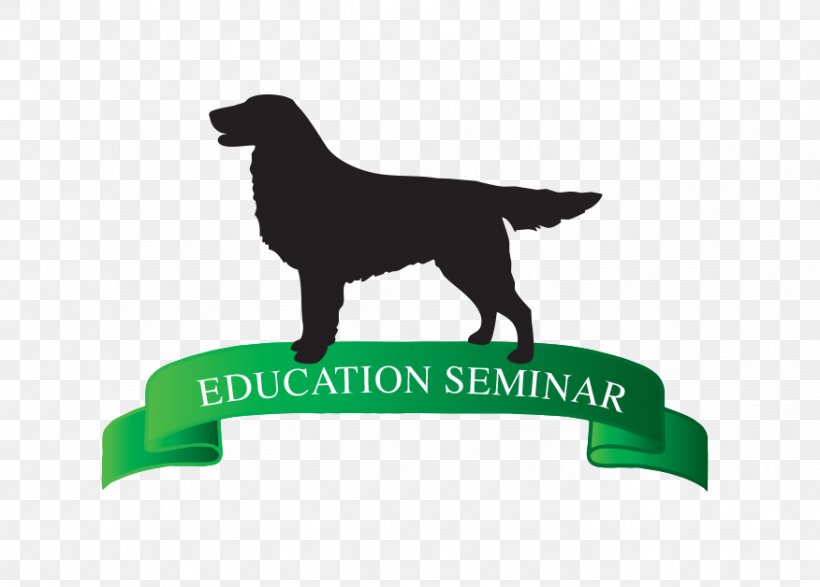 Labrador Retriever Puppy Dog Breed Obedience Training, PNG, 876x628px, Labrador Retriever, Breed, Carnivoran, Dog, Dog Breed Download Free