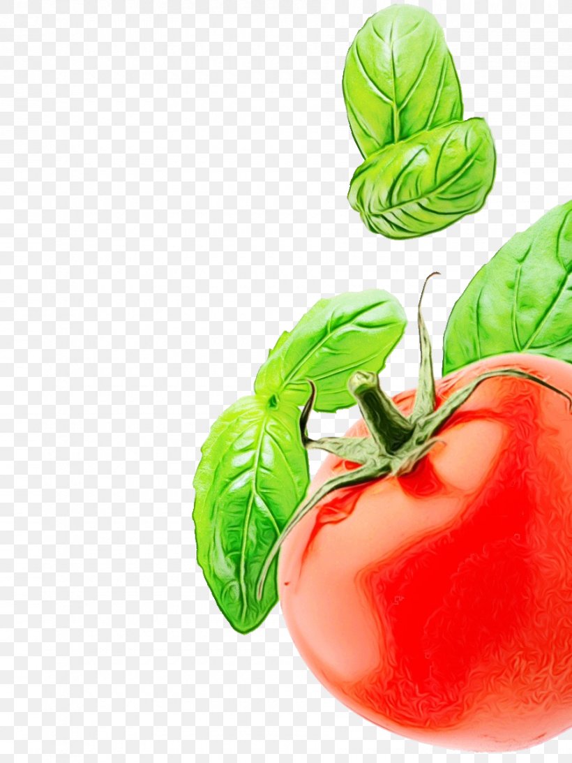 Natural Foods Vegetable Food Pimiento Plant, PNG, 900x1200px, Watercolor, Bell Pepper, Food, Fruit, Local Food Download Free