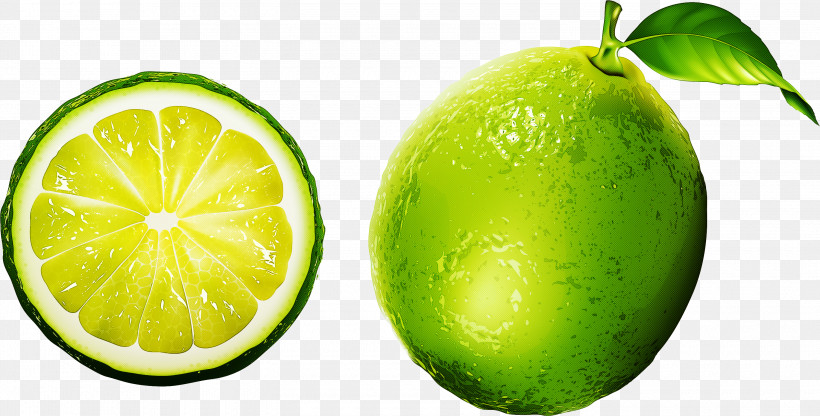 Orange, PNG, 3000x1523px, Persian Lime, Citric Acid, Citron, Citrus, Food Download Free