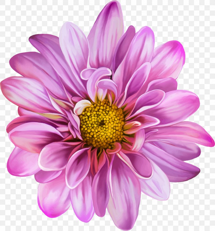 Chrysanthemum Flower Purple Dahlia, PNG, 1626x1746px, Chrysanthemum, Annual Plant, Aster, Blossom, Bud Download Free