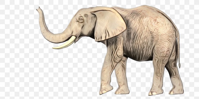 Elephant Background, PNG, 1000x500px, African Elephant, Animal, Animal Figure, Cattle, Elephant Download Free