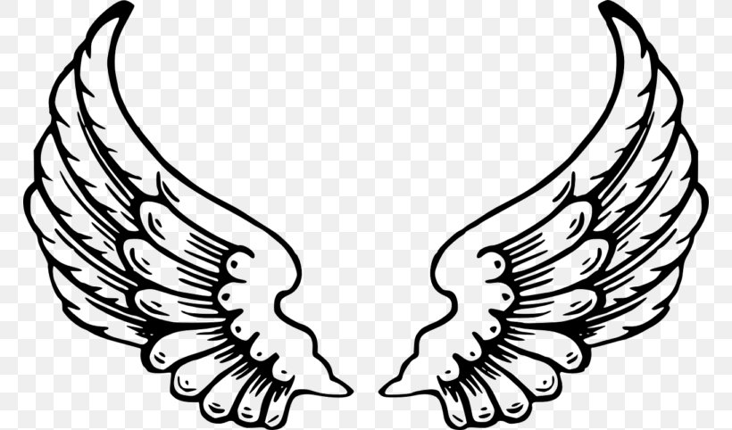 Wing Organism Face, PNG, 768x482px, Sticker, Angel, Artwork, Autocad Dxf, Beak Download Free