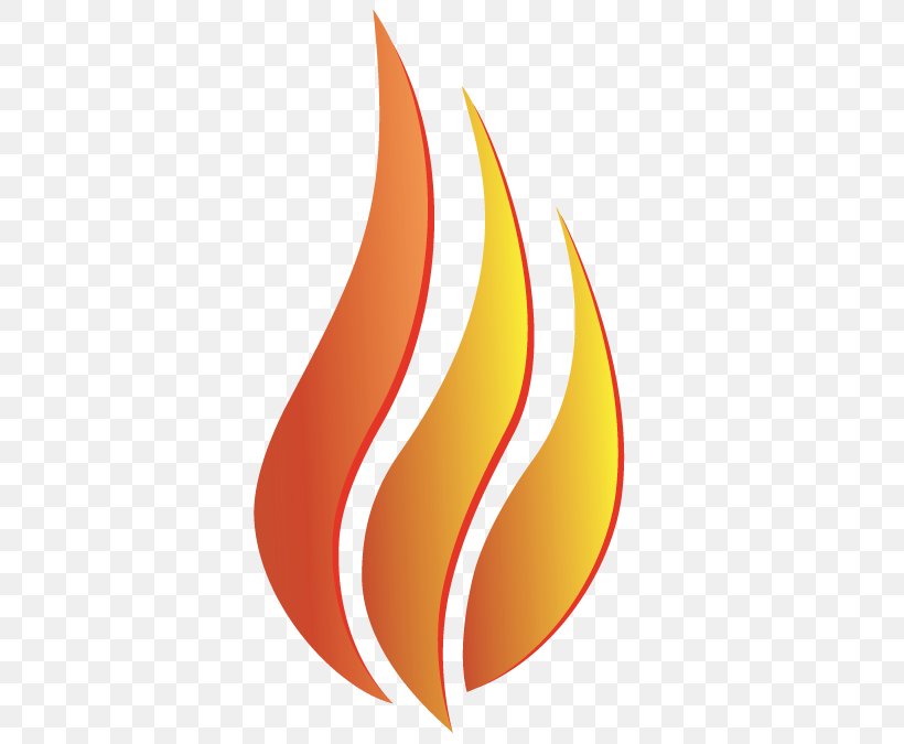Flame Fire Clip Art, PNG, 694x675px, Flame, Color, Colored Fire, Fire, Fruit Download Free