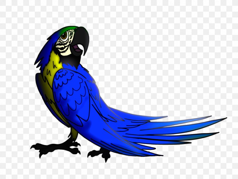 Military Macaw Parrot Parakeet Blu, PNG, 1024x768px, Macaw, Beak, Bird, Blu, Common Pet Parakeet Download Free