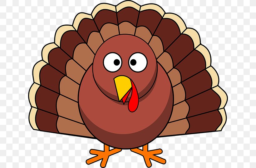 Turkey Meat Thanksgiving Dinner Pilgrim, PNG, 640x538px, Turkey, Beak, Bird, Cartoon, Chicken Download Free