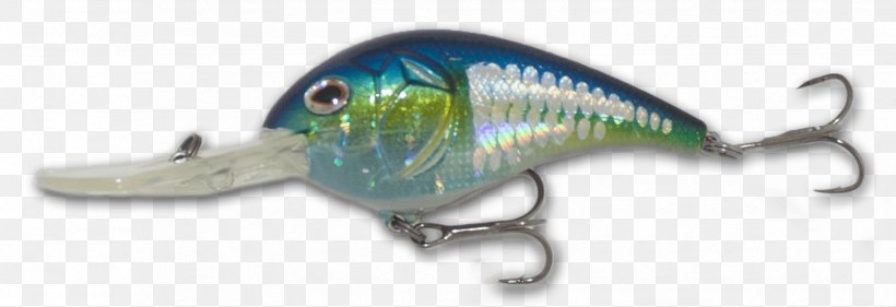 American Shad American Gizzard Shad Fish Keyword Tool United States, PNG, 1653x567px, American Shad, American Gizzard Shad, Bait, Chartreuse, Dorosoma Download Free