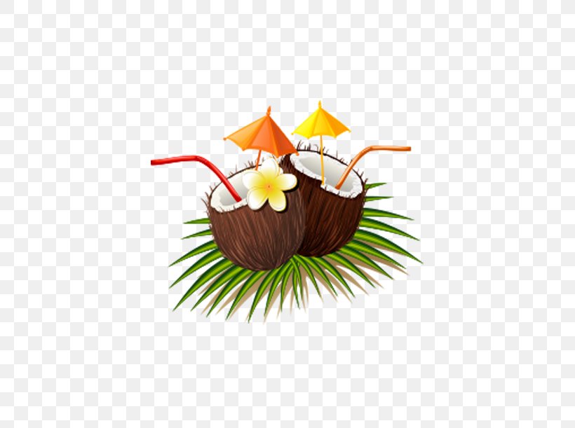 Coconut Water Nata De Coco Carrot Cake, PNG, 800x611px, Coconut Water, Alcoholic Drink, Carrot Cake, Cartoon, Coconut Download Free