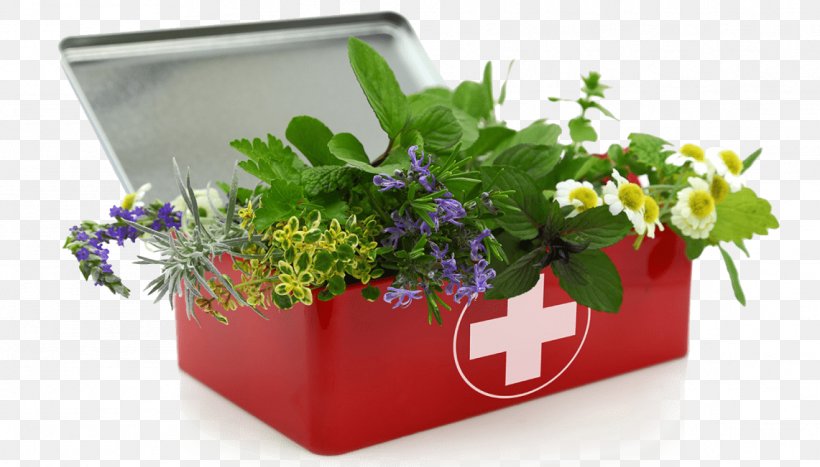 First Aid Kits Herbalism Herbal First Aid By Raleigh Briggs, PNG, 1141x651px, First Aid Kits, Artificial Flower, Burn, Essential Oil, First Aid Download Free