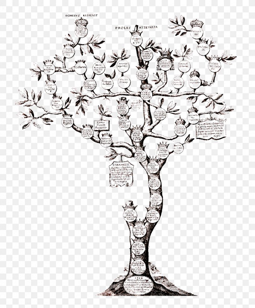 Genealogy Family Tree Ancestor Kinship, PNG, 869x1051px, Genealogy, Ancestor, Black And White, Branch, Candle Holder Download Free