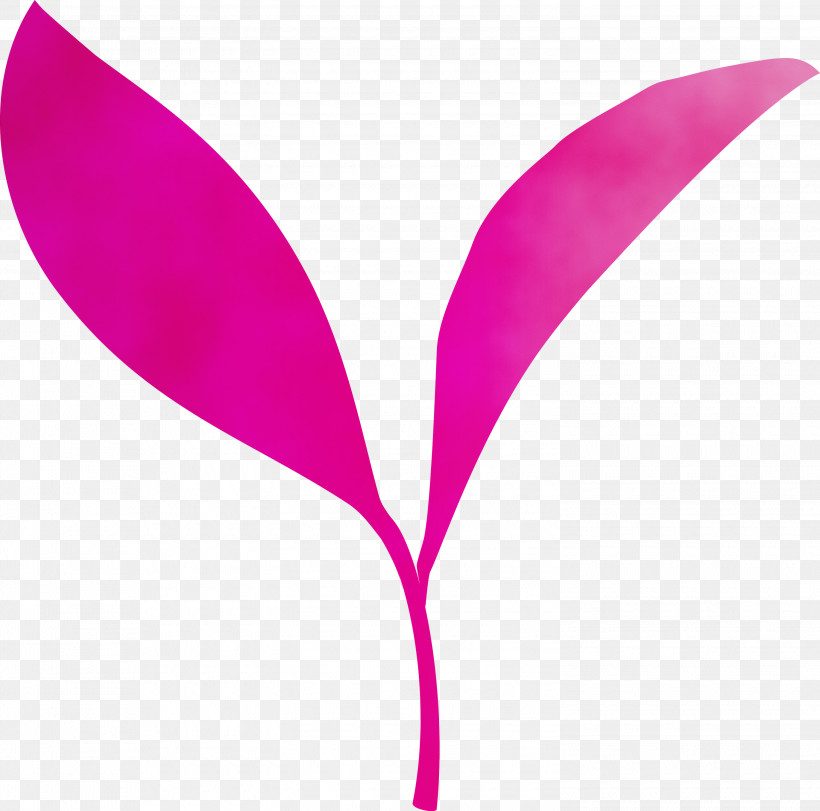 Pink Violet Magenta Leaf Purple, PNG, 3000x2968px, Tea Leaves, Flower, Leaf, Line, Magenta Download Free