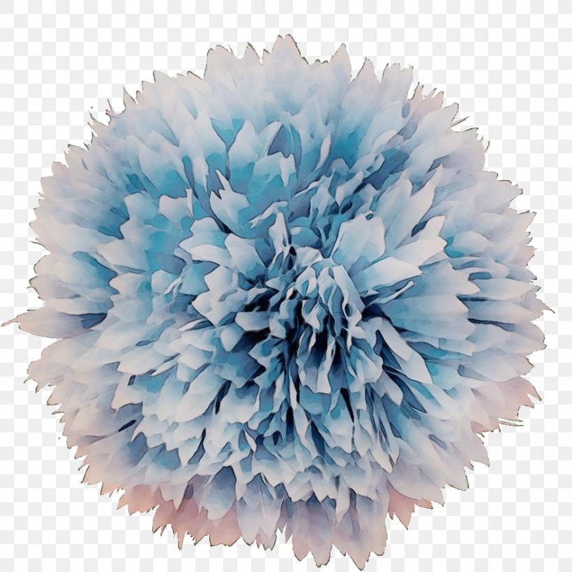 Cut Flowers Pom-pom Flower, PNG, 883x883px, Watercolor, Cut Flowers, Flower, Paint, Pompom Download Free