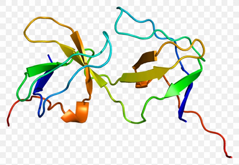 EPS8L2 Protein Epidermal Growth Factor Receptor ABI1, PNG, 913x628px, Protein, Area, Art, Artwork, Enzyme Download Free
