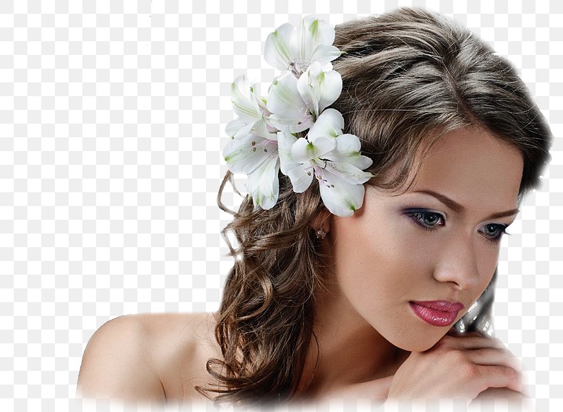 Hairstyle Marriage Wedding, PNG, 800x600px, Hairstyle, Beauty, Bride, Brown Hair, Capelli Download Free