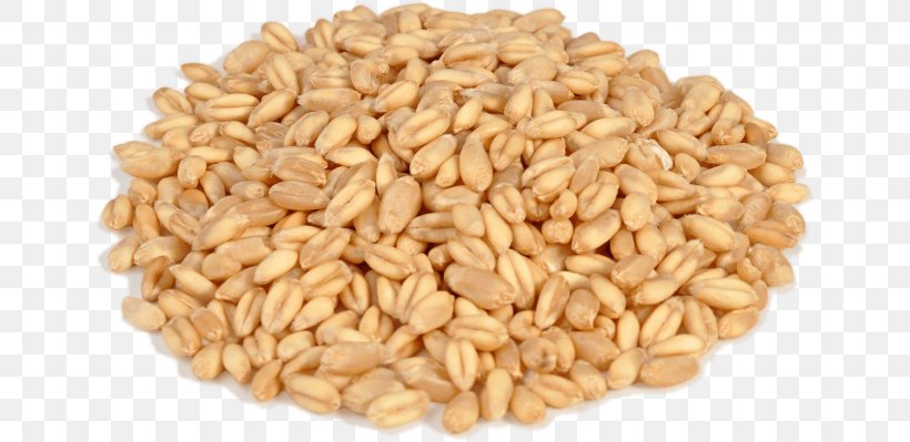 Oat Spelt Emmer Whole Grain Khorasan Wheat, PNG, 650x399px, Oat, Barley, Bread, Cereal, Cereal Germ Download Free