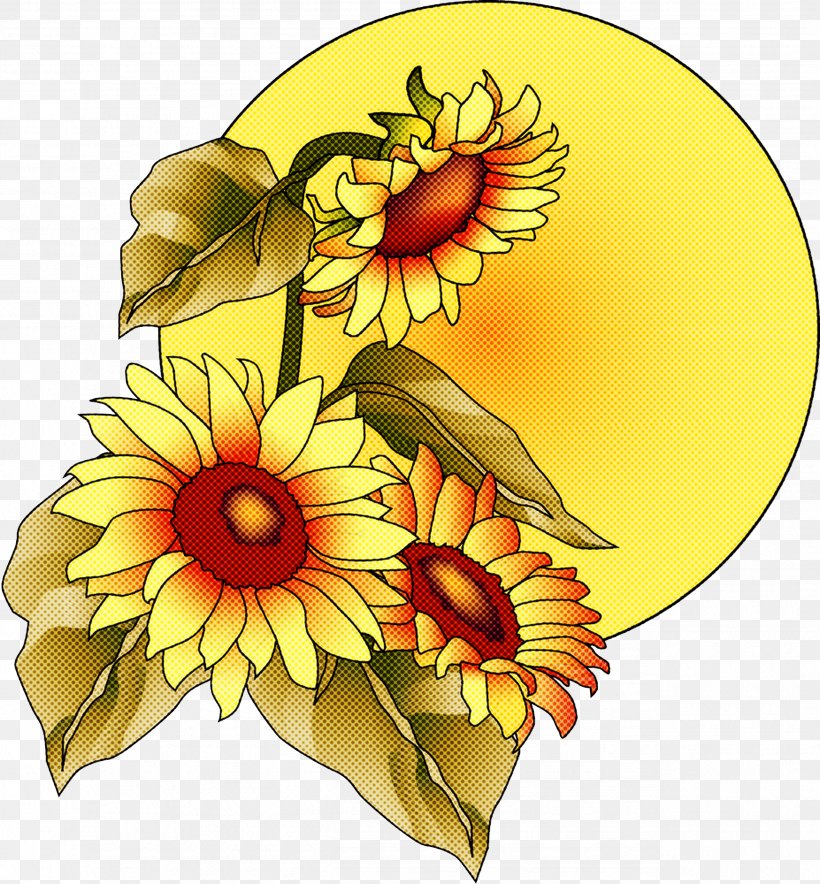 Sunflower, PNG, 2549x2750px, Sunflower, Daisy Family, Flower, Gerbera, Petal Download Free