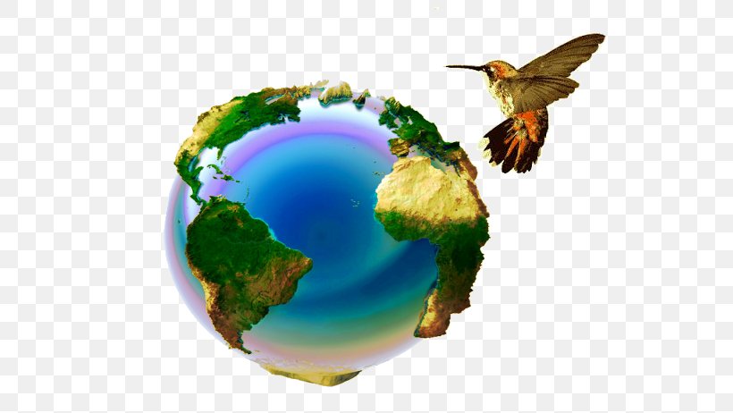 Earth Stock Photography Image Illustration, PNG, 608x462px, Earth, Globe, Illustrator, Organism, Photography Download Free