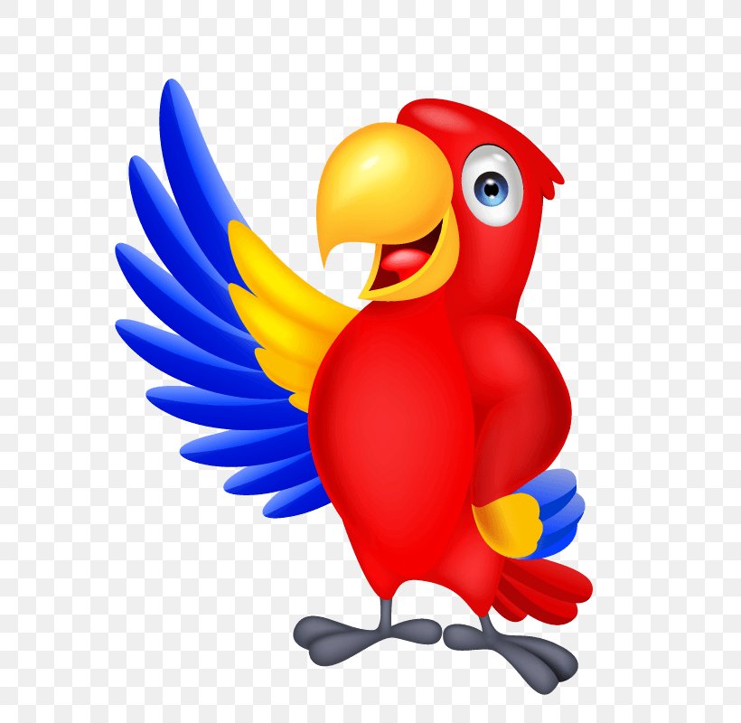 Parrot Macaw Vector Graphics Bird Royalty-free, PNG, 600x800px, Parrot, Animated  Cartoon, Beak, Bird, Blueandyellow Macaw