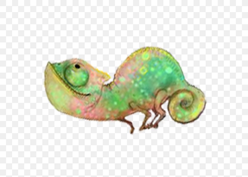 Reptile Chameleons Lizard Animal Iguanomorpha, PNG, 708x585px, Reptile, Animal, Chameleon, Chameleons, Gecko Download Free