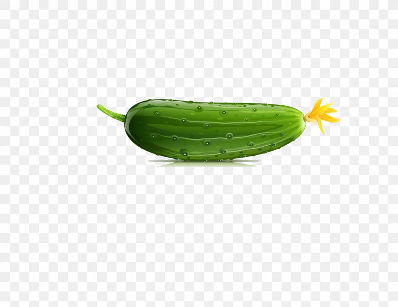 Armenian Cucumber Pepino Vegetable, PNG, 1445x1115px, Cucumber, Armenian Cucumber, Cucumber Gourd And Melon Family, Gratis, Green Download Free