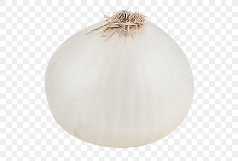 Ceiling Onion Plant Ornament, PNG, 600x555px, Ceiling, Onion, Ornament, Plant Download Free