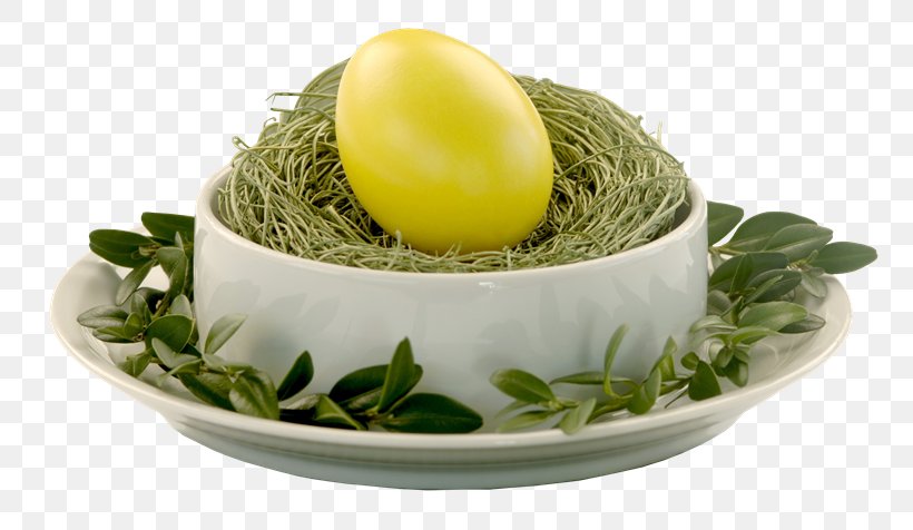 Easter Egg Bird Christmas, PNG, 800x476px, Easter, Bird, Bird Nest, Christmas, Easter Egg Download Free