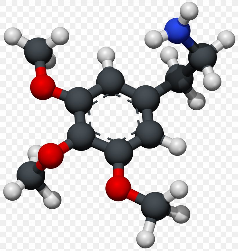 Mescaline Molecule Triclosan Peyote Triclocarban, PNG, 1600x1693px, Mescaline, Acid, Alkaloid, Chemical Compound, Chemical Formula Download Free