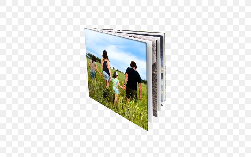 Picture Frames Angle, PNG, 512x512px, Picture Frames, Grass, Picture Frame Download Free