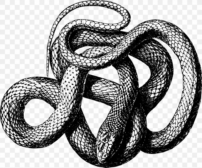 Snake Copperhead Clip Art, PNG, 2400x1999px, Snake, Black And White, Black Rat Snake, Boa Constrictor, Boas Download Free