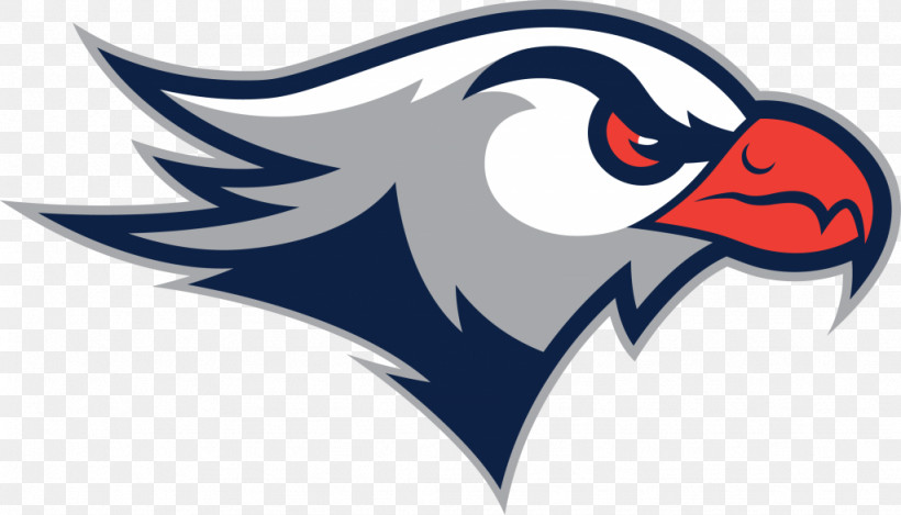 Bird Eagle Beak Logo, PNG, 1024x586px, Bird, Beak, Eagle, Logo Download Free
