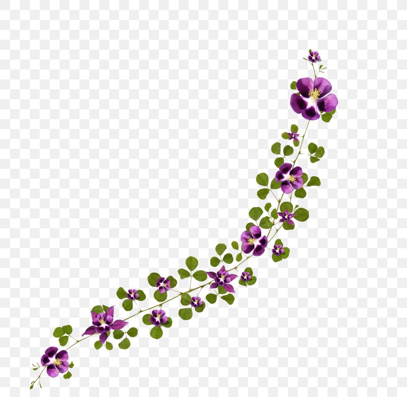 Flower Floral Design RGB Color Model, PNG, 800x800px, Flower, Animation, Art, Body Jewelry, Branch Download Free