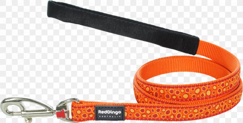 Leash Dog Dingo Trendyol Group Orange, PNG, 3000x1526px, Leash, Cat, Centimeter, Dingo, Dog Download Free