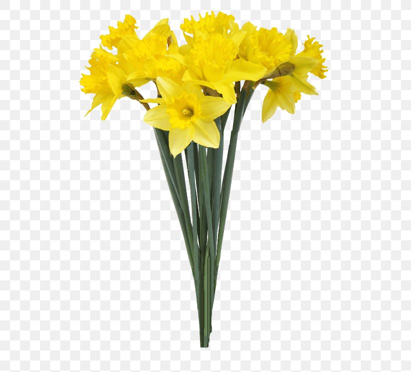 Vase Daffodil Flower Stock Photography, PNG, 620x743px, Vase, Amaryllis Family, Artificial Flower, Cut Flowers, Daffodil Download Free