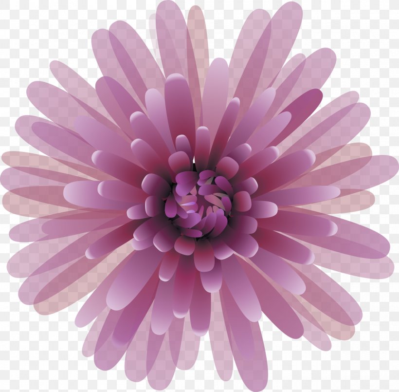 Chrysanthemum Clip Art Image Lilac, PNG, 1200x1179px, Chrysanthemum, Aster, Chrysanths, Daisy, Daisy Family Download Free