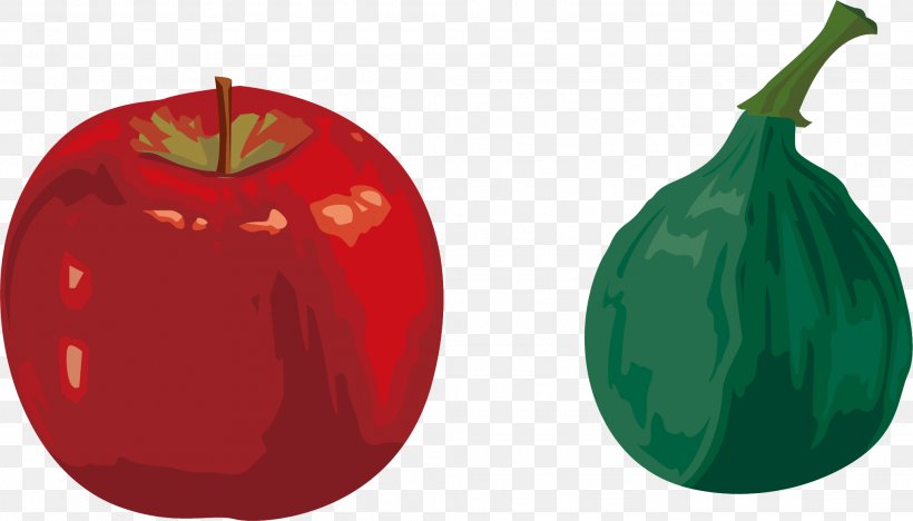 Apple Fruit Euclidean Vector, PNG, 2029x1160px, Apple, Auglis, Christmas Ornament, Designer, Element Download Free