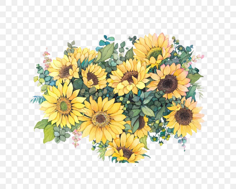Common Sunflower Watercolor Painting Illustration, PNG, 658x658px