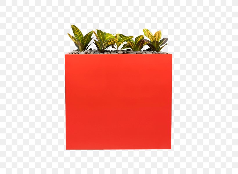 PHS Greenleaf Plants Petra Rectangle Premise, PNG, 600x600px, Plants, Flower, Flowerpot, Greenleaf, Houseplant Download Free