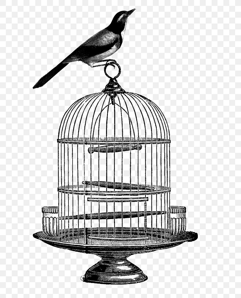 Birdcage Drawing Clip Art, PNG, 650x1014px, Birdcage, Antique, Beak, Bird, Black And White Download Free